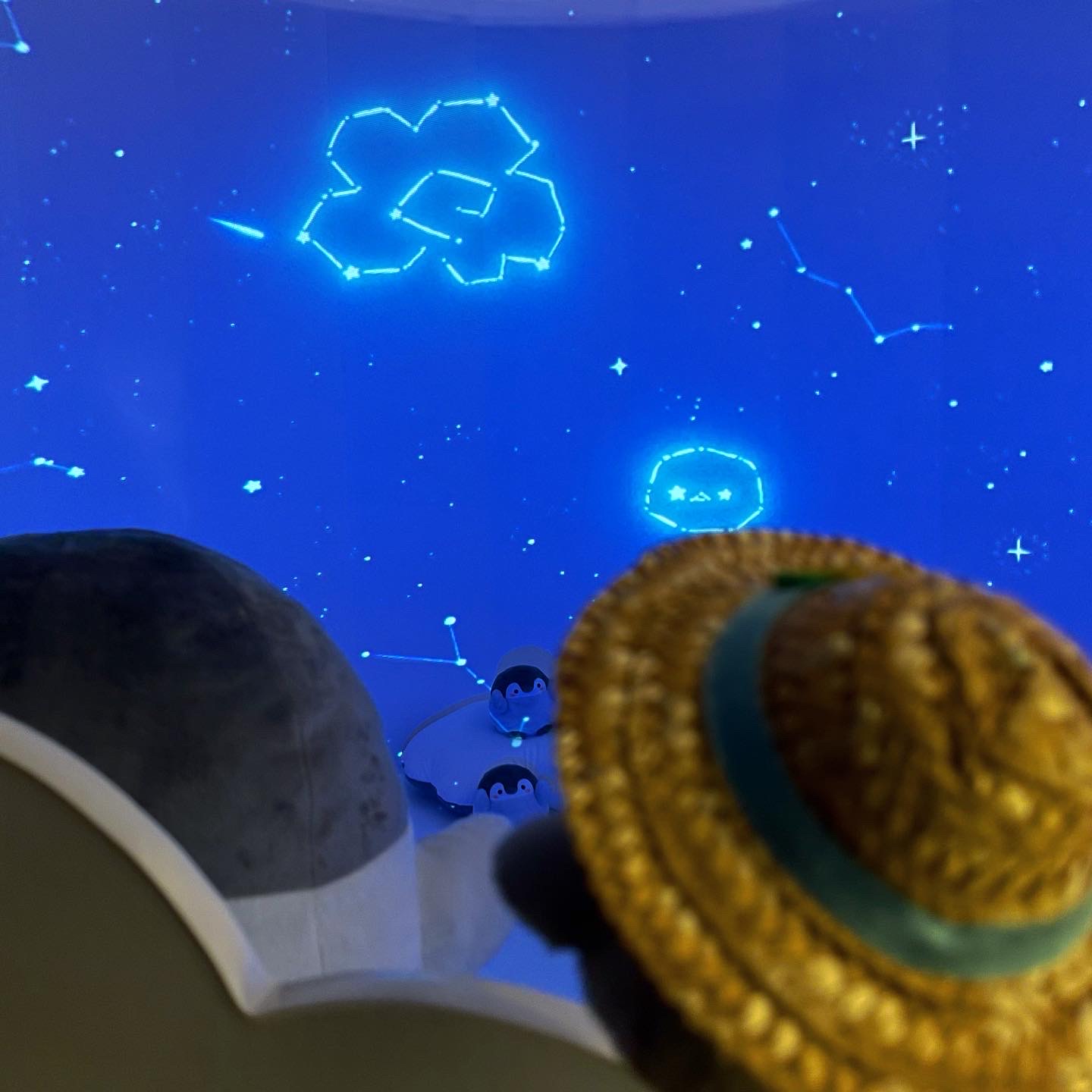 花丸まんてん星展