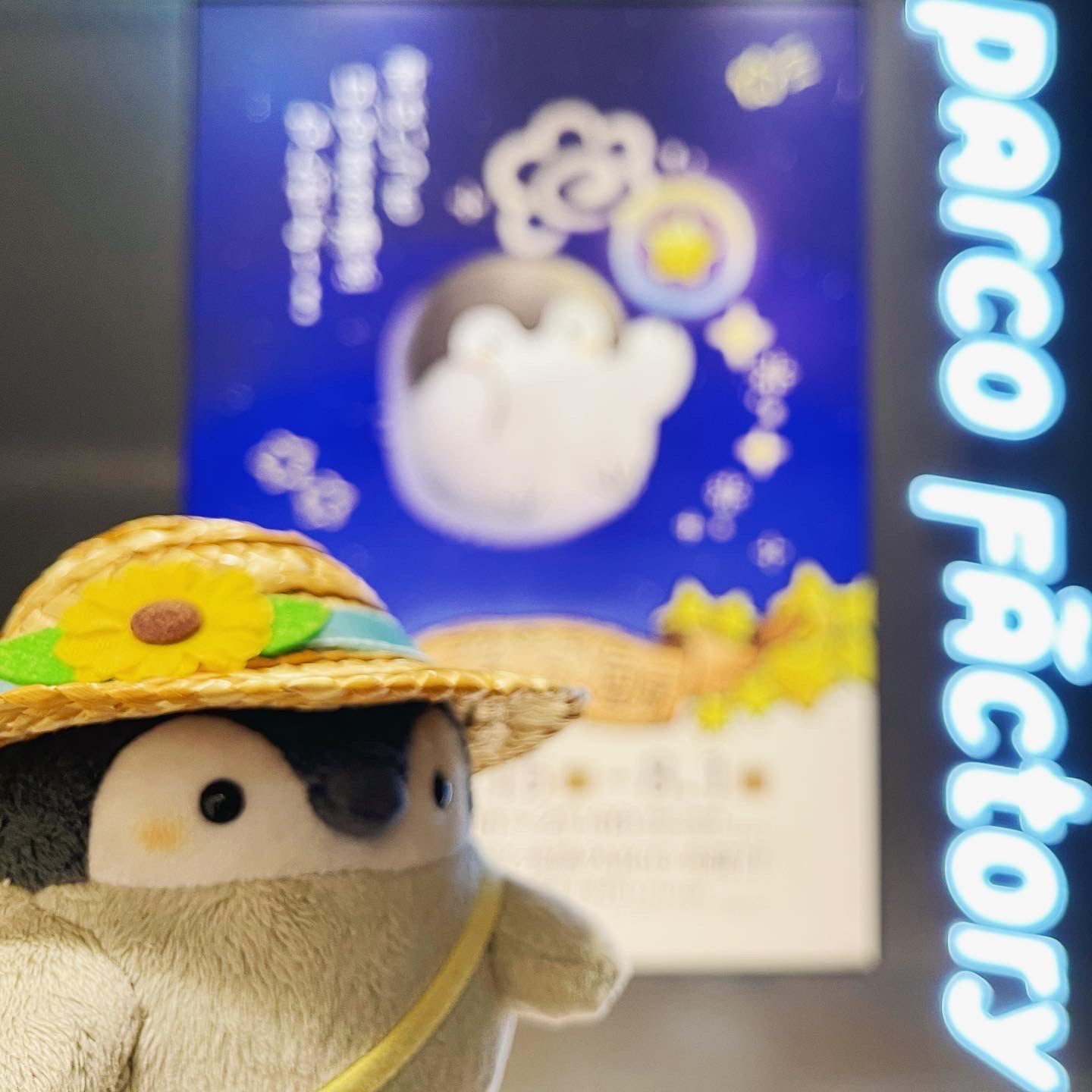 花丸まんてん星展