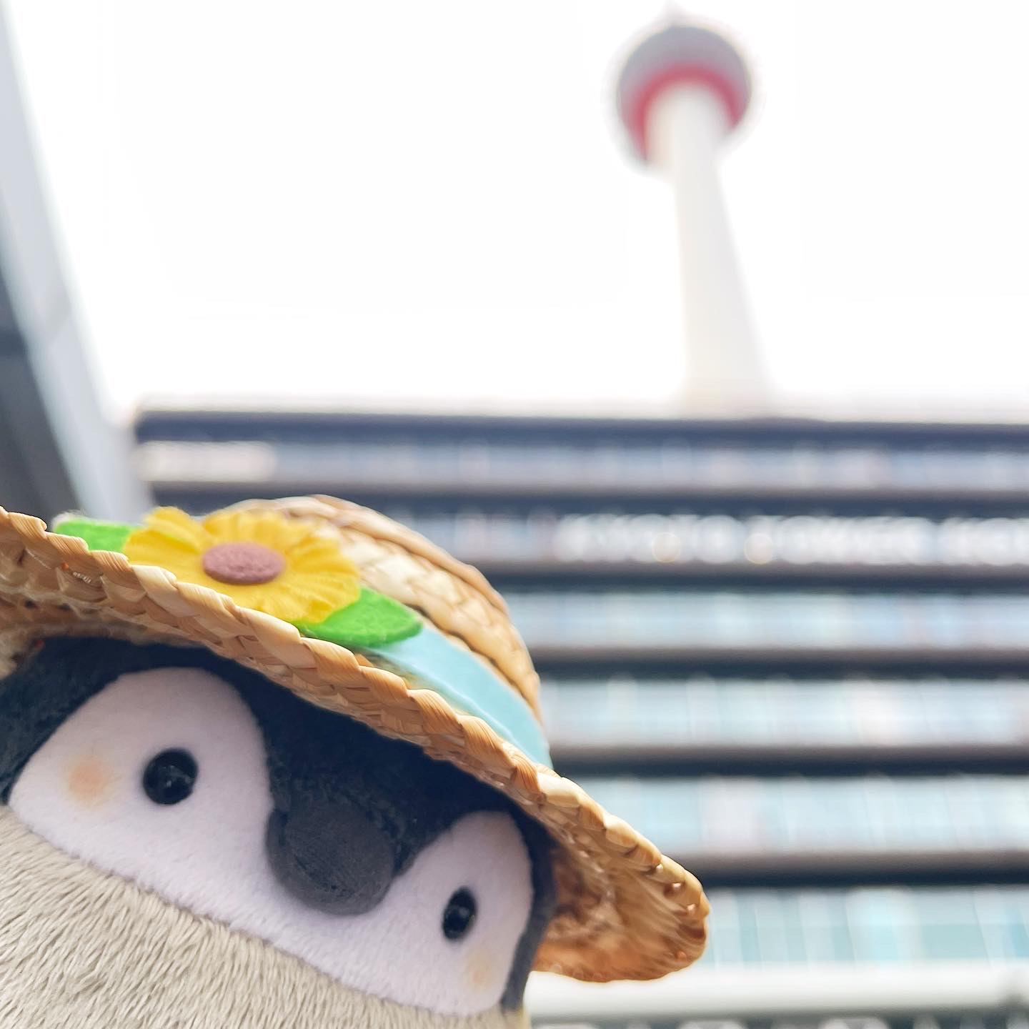 おでかけ冒険記 2022秋①