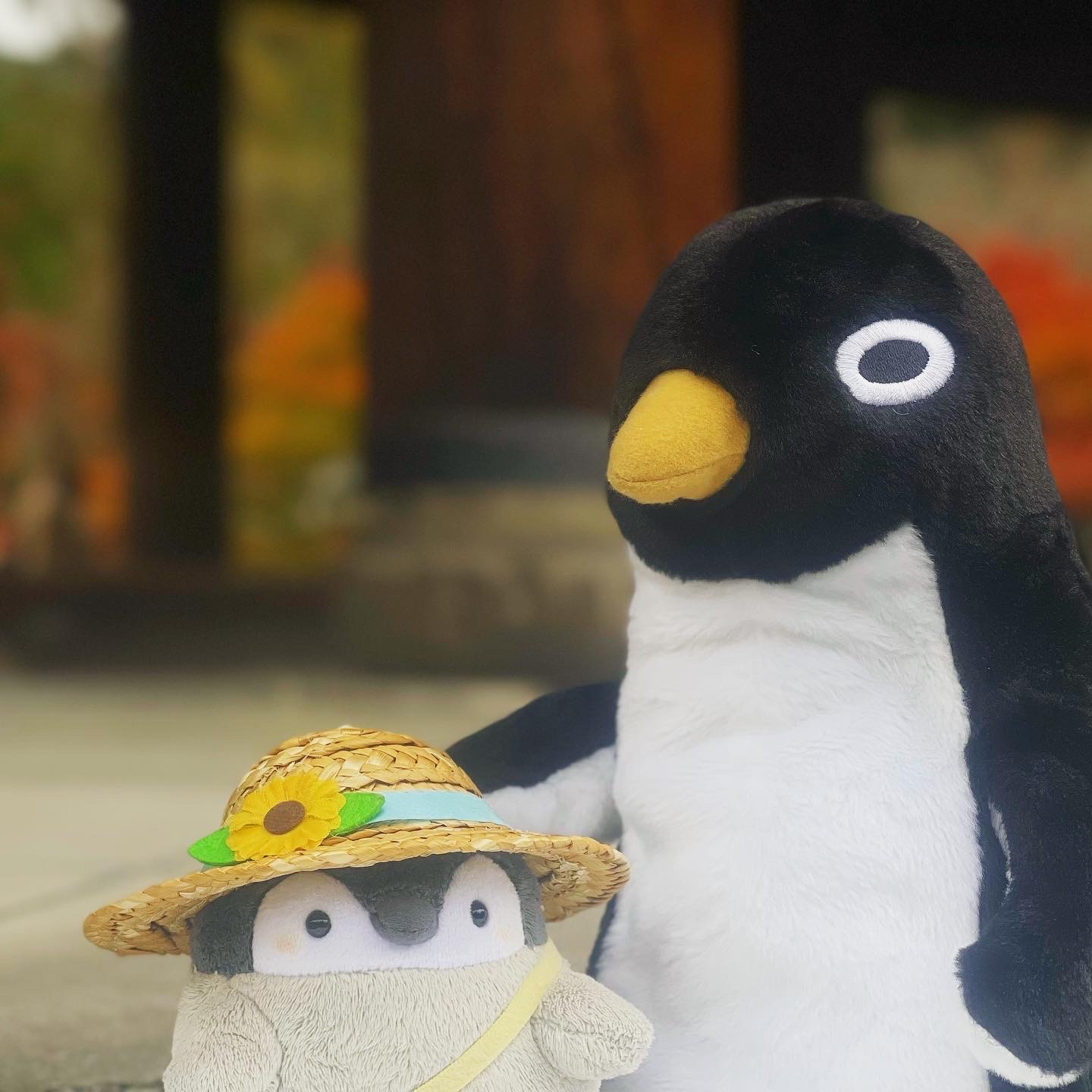 おでかけ冒険記 2022秋⑤