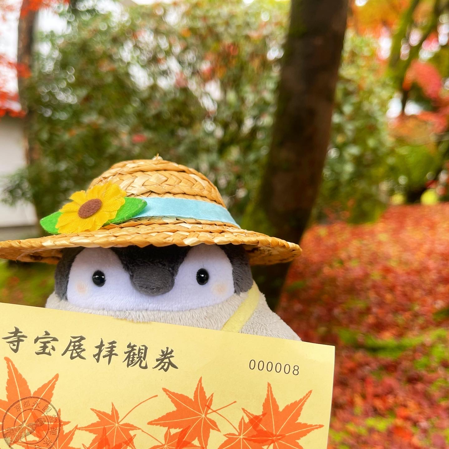 おでかけ冒険記 2022秋⑥