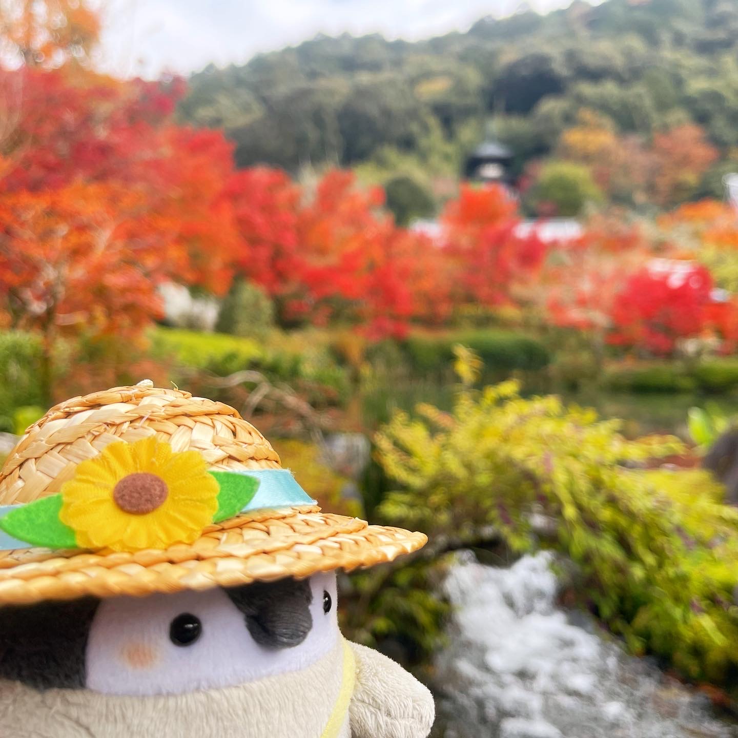 おでかけ冒険記 2022秋⑦