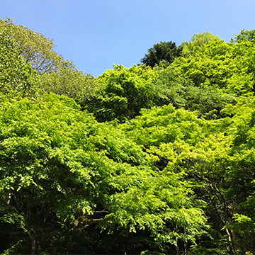京都 貴船神社
