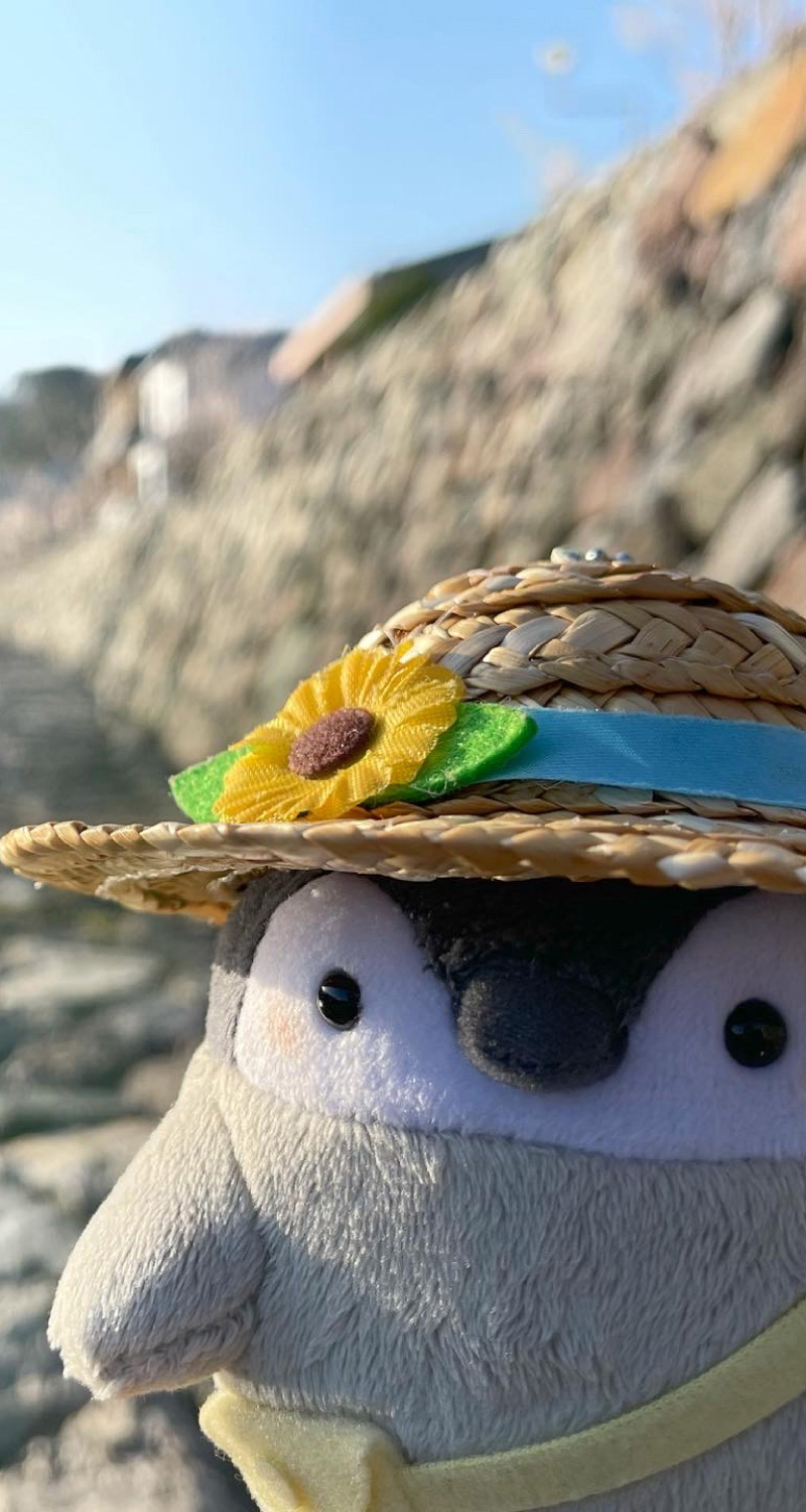 おでかけin宇治